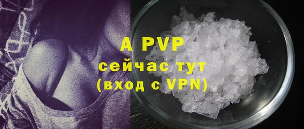 молекула духа Липки