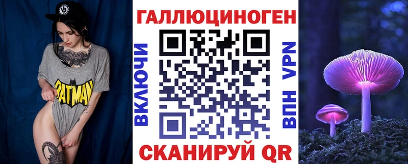 Галлюциногенные грибы Psilocybe  Купить закладки  Анива 